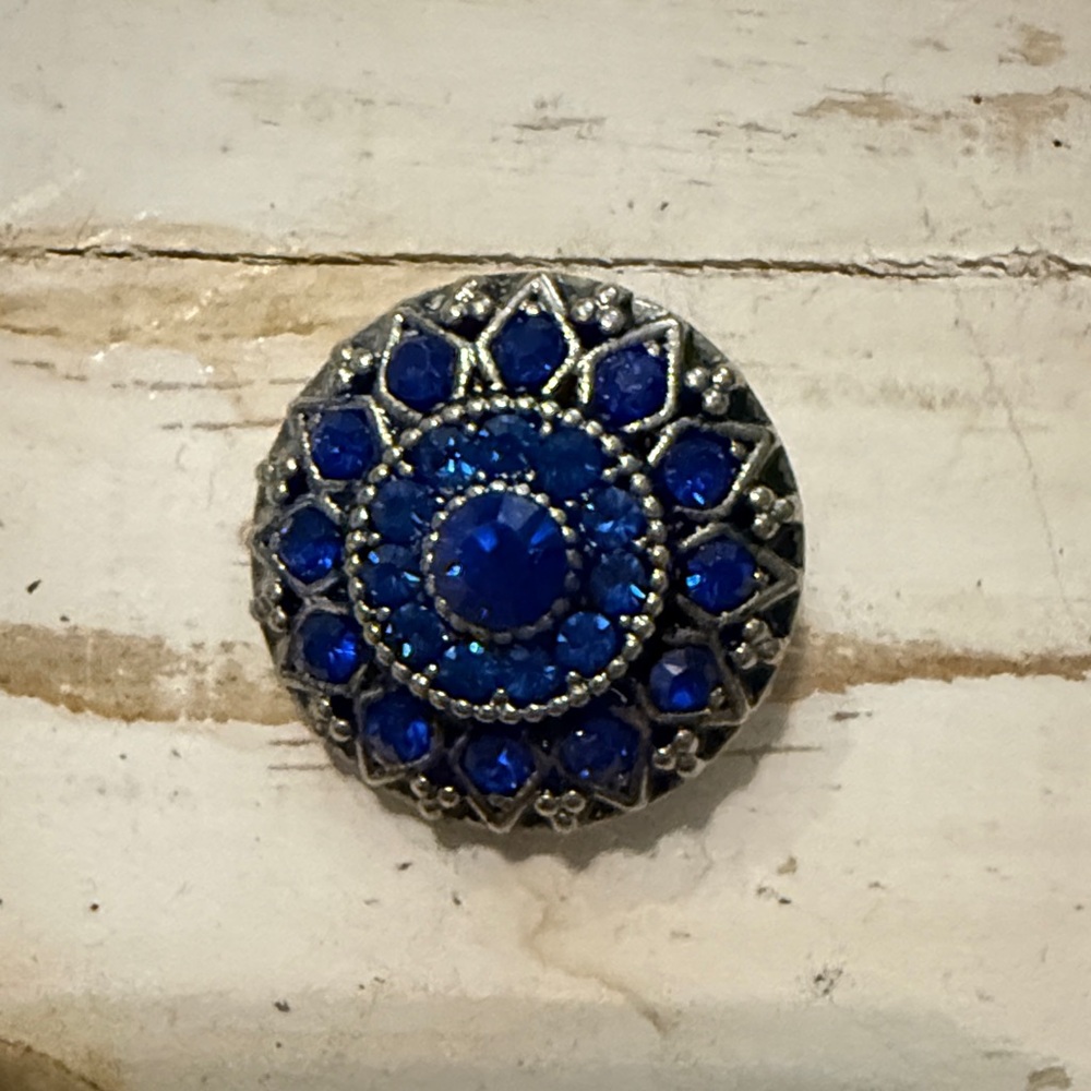 Elegant Blue and Silver Ginger Snaps - Picture 3 of 5